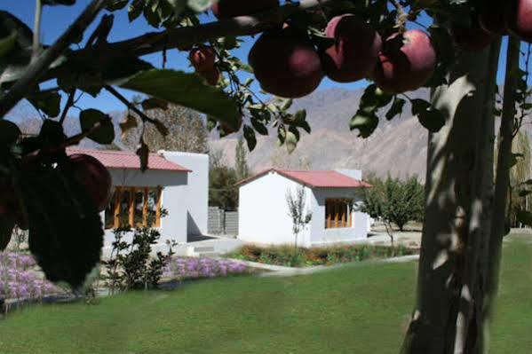 Himalayan Eco Resort Hundar Exterior foto